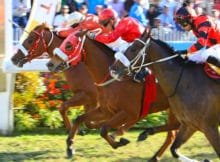 Horse Racing and the Black Economy in Mauritius